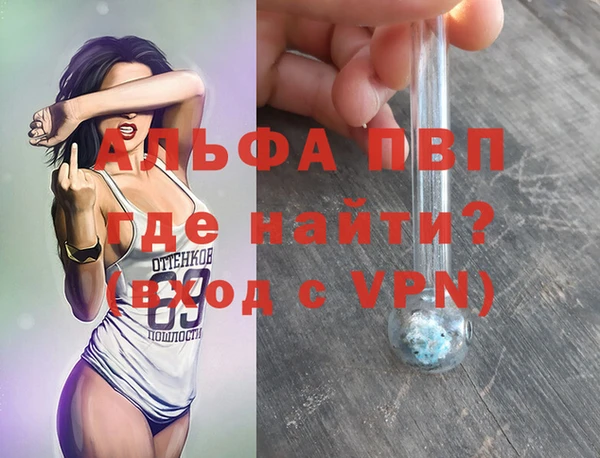 стафф Бородино