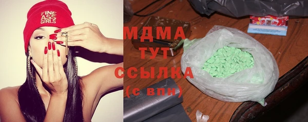индика Бронницы