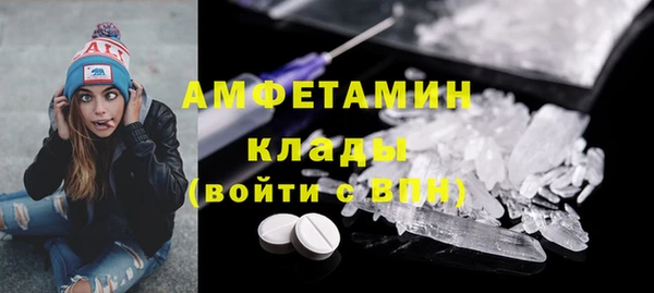 индика Бронницы