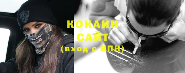индика Бронницы