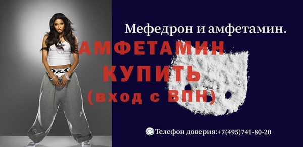 индика Бронницы