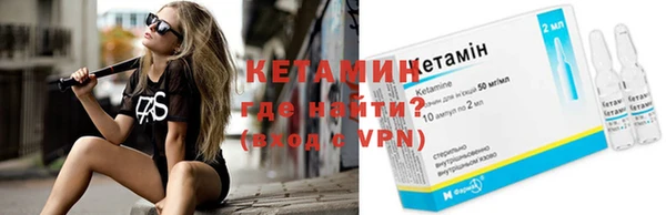 индика Бронницы