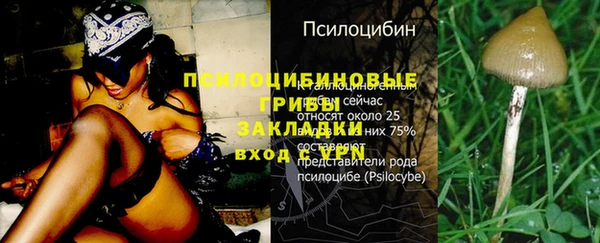 стафф Бородино