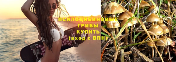 стафф Бородино