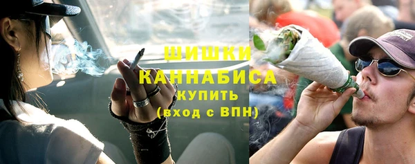 индика Бронницы