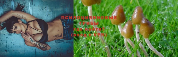 индика Бронницы
